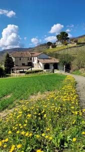 Appartamento Moscato in Cascina Marenco Langhe Country House