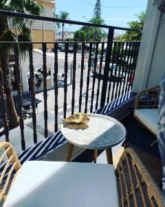 Palmeras Puerto Torrevieja