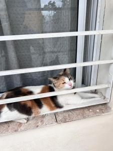 Alojamiento Cba Observatorio