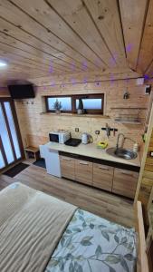 Нота Карпат