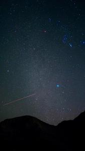 Aseel camp rum