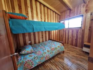 Cabañas entre coihues