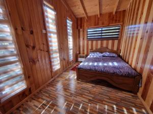 Cabañas entre coihues