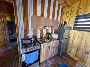 Cabañas entre coihues