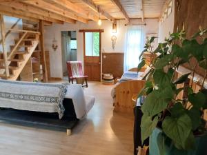 Cabaña madera y barro (bioconstrucción)