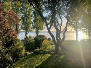 AE320-Aeroskobing-Norregade-17