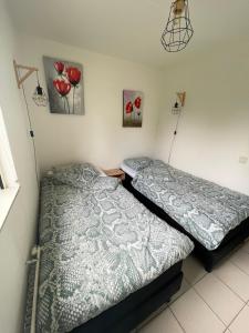 Compleet huisje tussen de weilanden in Ewijk