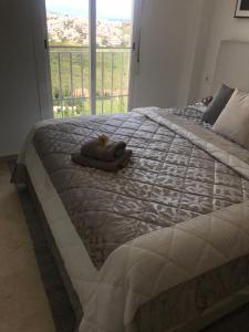 Las Vistas Small Oasis