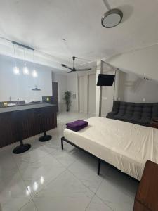Modern studio very close to the Malecón and the beach