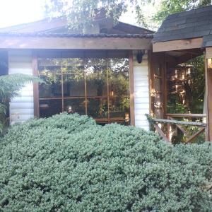 Cabaña 2 personas Pétalos Villarrica