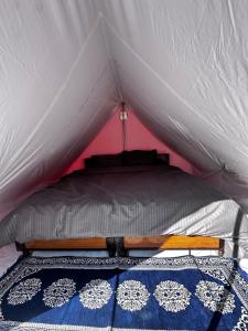 Kasol Shalom Camps & Cafe