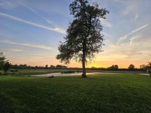 Oase 41 - 5 STAR location with Indoor swimming pool & unique landscape view