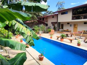 Tekana Boutique Jungle Retreat