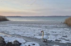 Siófok Panoráma Apartman