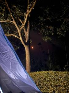 Coorg Camping JungleDrift