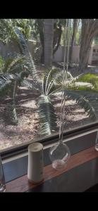 Sandton Holiday Home