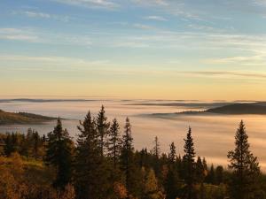 Ski in Ski out Panorama Iso-Syöte
