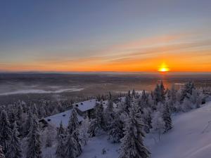 Ski in Ski out Panorama Iso-Syöte