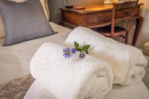 The Annexe on Constitution