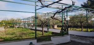 Casa dei Gigli relax and vacation among flowers and fruits