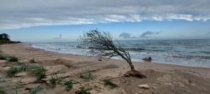 Brīvdienu mājas Lejnieki