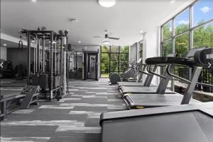 Stunning Lake Wylie Apartment at VALE