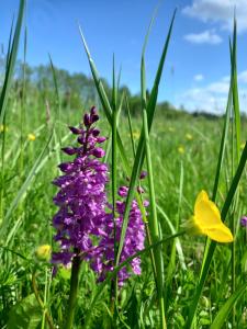Brīvdienu mājas Lejnieki