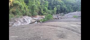 Destak casa de praia