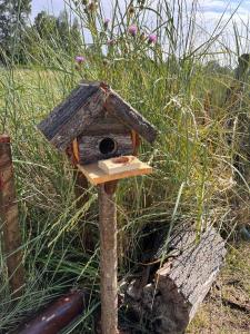 El Rincon de Sportive