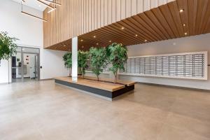 Yume Nex One Paraíso