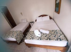 Arenal Poshpacker Boutique Urban Tropical Hotel