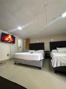 Corales aparta estudio habitación