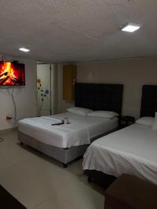 Corales aparta estudio habitación