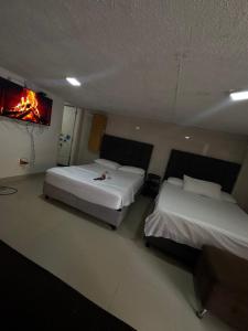 Corales aparta estudio habitación