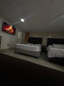 Corales aparta estudio habitación