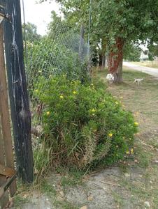 Cabaña Acantilandiao