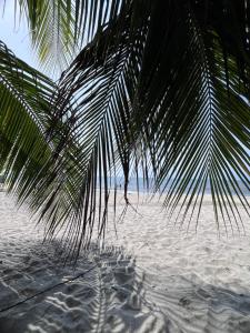 Resort Art Suite en el Caribe