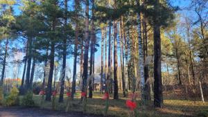 Cudodomek SPA Loft koło Ełku