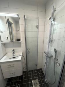 Beautiful and Spacious Studio in Helsinki