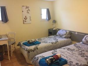 Lot river gite, near to Temple sur-Lot