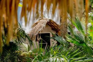 Zomay Beachfront Holbox
