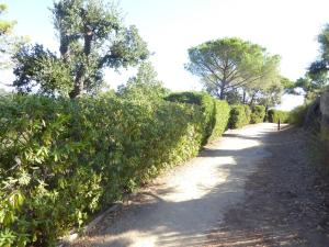 Maisons de vacances Ferienhaus zw. Cogolin und St. Tropez : photos des chambres