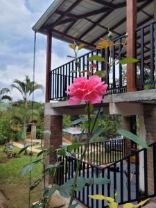 Tu Escapada Ideal con Río Privado