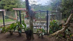 Tu Escapada Ideal con Río Privado