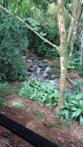 Wooden Cabin with deck Over Creek, walk to beach