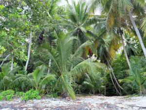 Alexger Beachfront Apartament Bavaro, Punta Cana