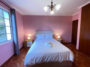 Forest View Countryside