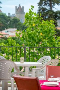 Cerise Carcassonne Sud