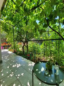 Apartment Pavica