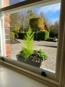 The Cottage Bailieborough Cavan